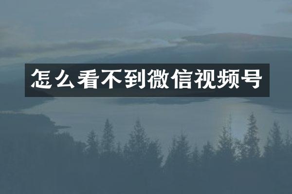 怎么看不到微信视频号