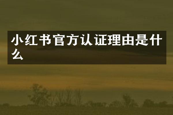 小红书官方认证理由是什么