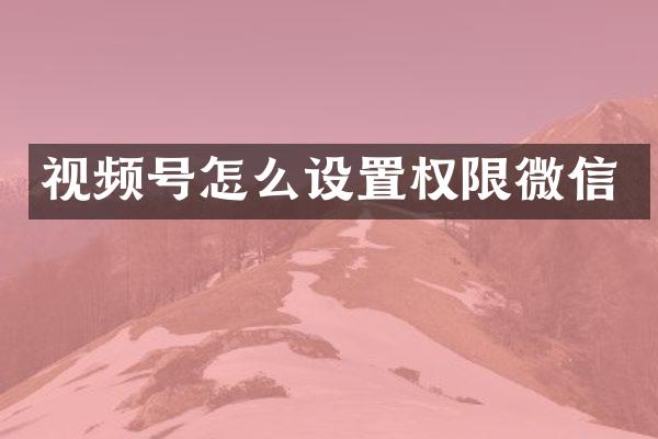 视频号怎么设置权限微信