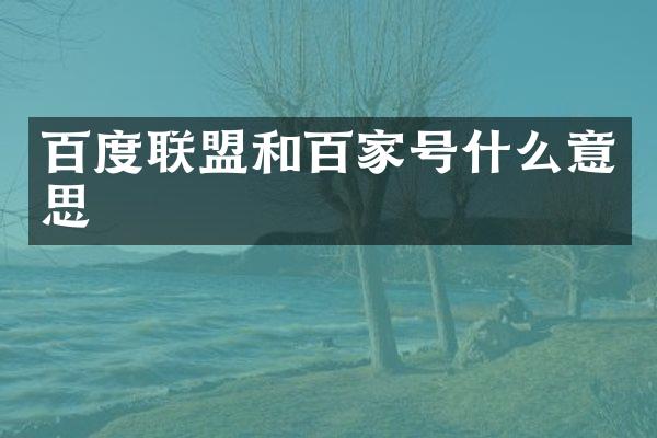 百度联盟和百家号什么意思