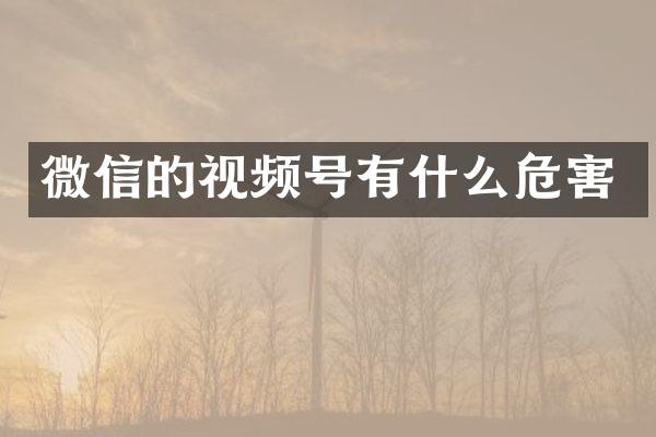 微信的视频号有什么危害