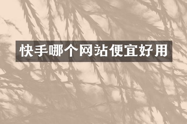 快手哪个网站便宜好用