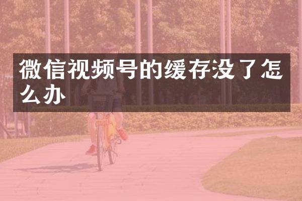 微信视频号的缓存没了怎么办