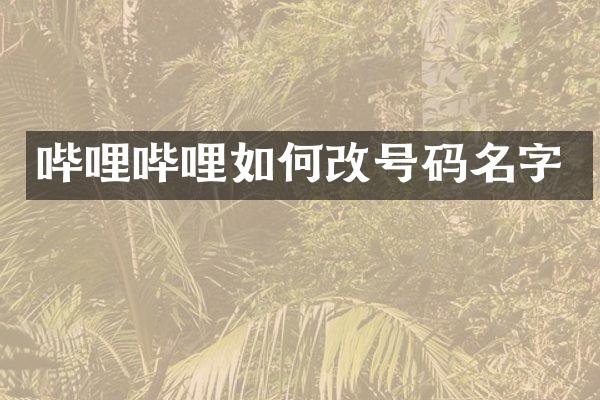 哔哩哔哩如何码名字