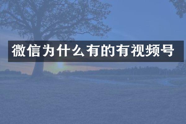 微信为什么有的有视频号