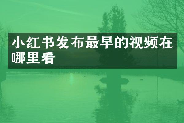 小红书发布最早的视频在哪里看