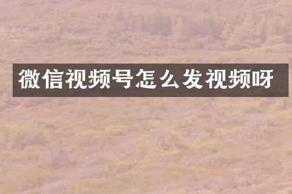 微信视频号怎么发视频呀