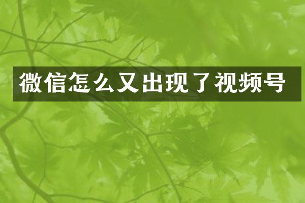 微信怎么又出现了视频号