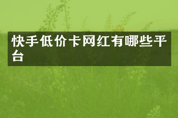 快手低价卡网红有哪些平台