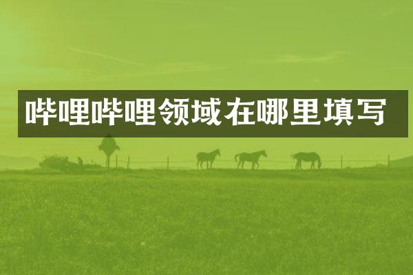哔哩哔哩领域在哪里填写
