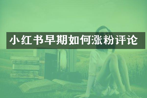 小红书早期如何涨粉评论