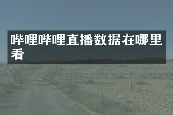 哔哩哔哩直播数据在哪里看