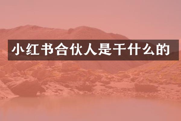 小红书合伙人是干什么的