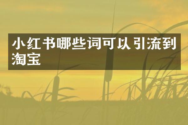 小红书哪些词可以引流到淘宝