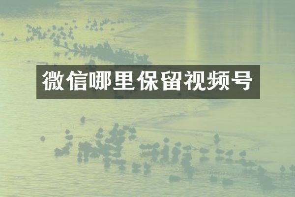 微信哪里保留视频号