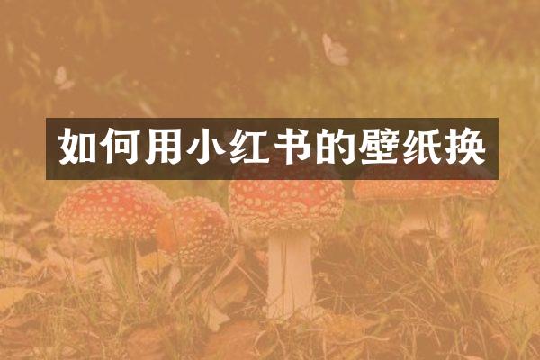 如何用小红书的壁纸换