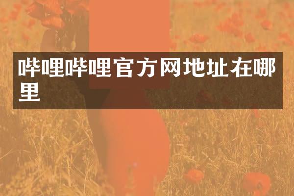 哔哩哔哩官方网地址在哪里