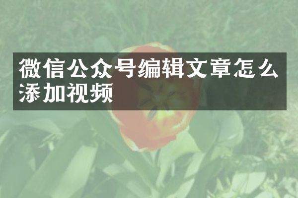 微信公众号编辑文章怎么添加视频