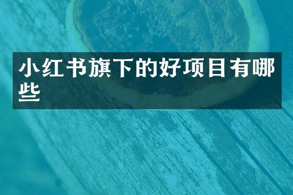 小红下的好项目有哪些