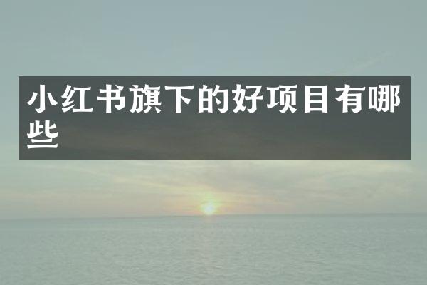 小红下的好项目有哪些