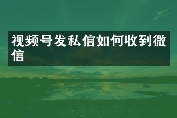 视频号发私信如何收到微信