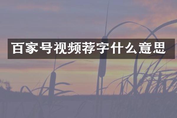 百家号视频荐字什么意思