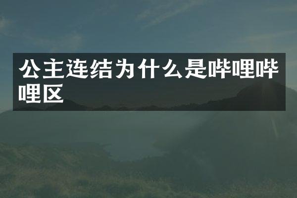 公主连结为什么是哔哩哔哩区