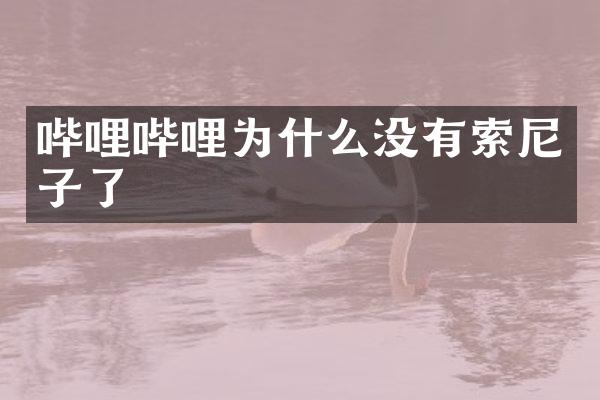 哔哩哔哩为什么没有子了