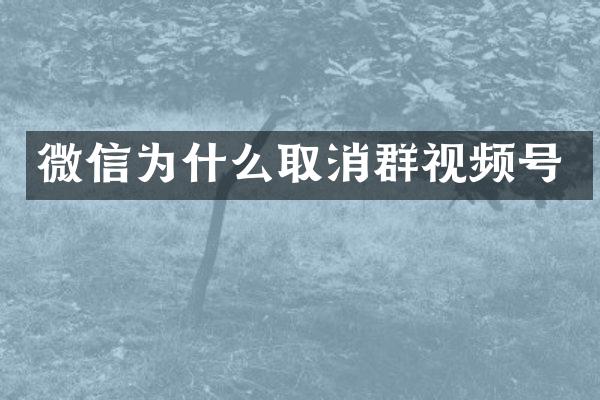 微信为什么取消群视频号