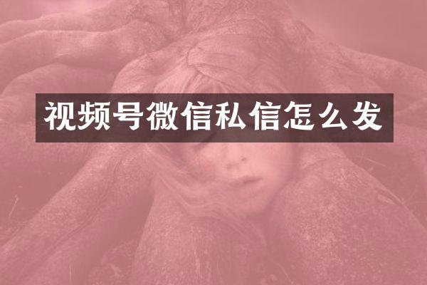 视频号微信私信怎么发