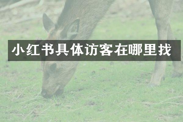小红书具体访客在哪里找