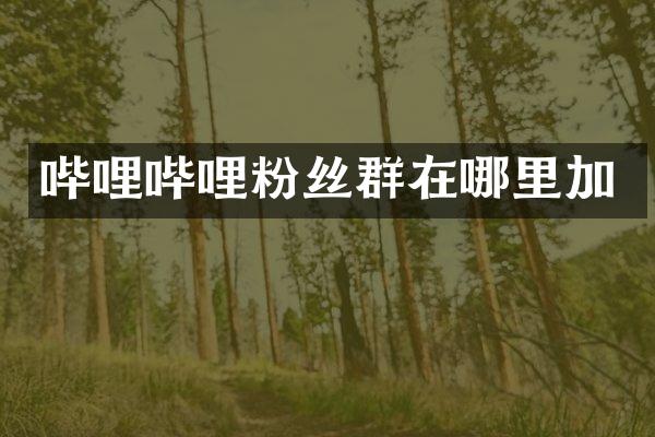哔哩哔哩粉丝群在哪里加