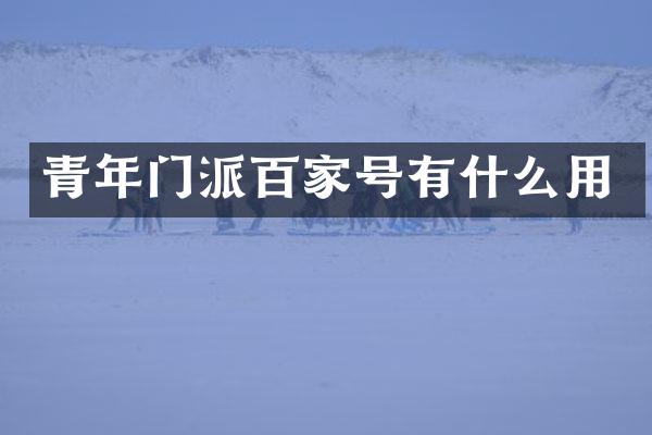 青年门派百家号有什么用