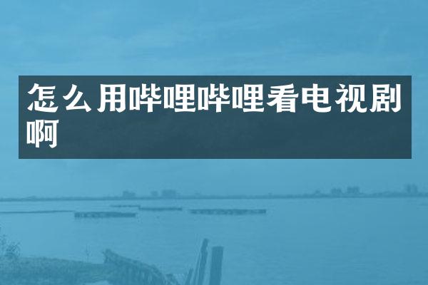 怎么用哔哩哔哩看电视剧啊