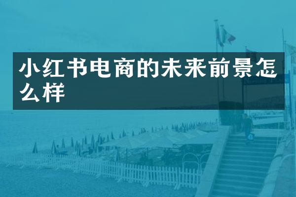 小红书电商的未来前景怎么样