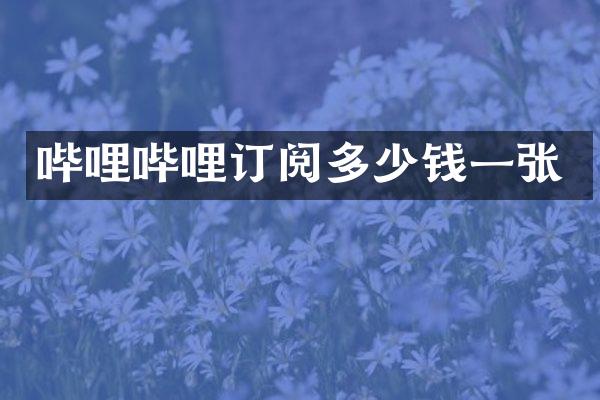 哔哩哔哩订阅多少钱一张