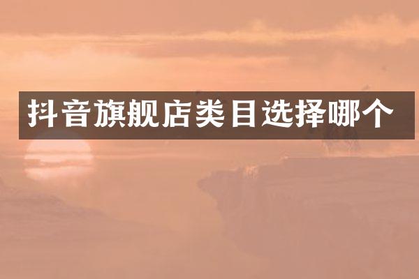 抖音旗舰店类目选择哪个