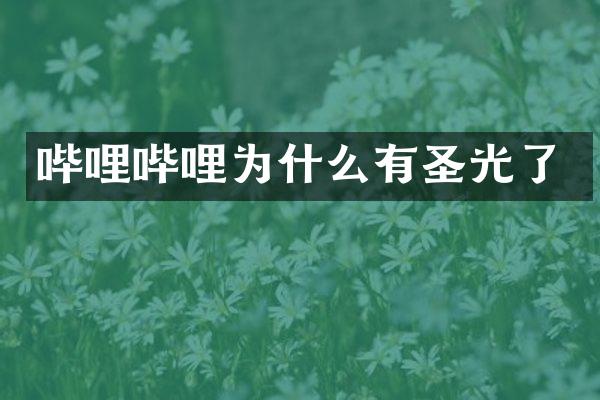 哔哩哔哩为什么有圣光了