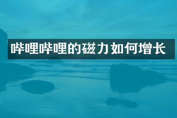 哔哩哔哩的磁力如何增长