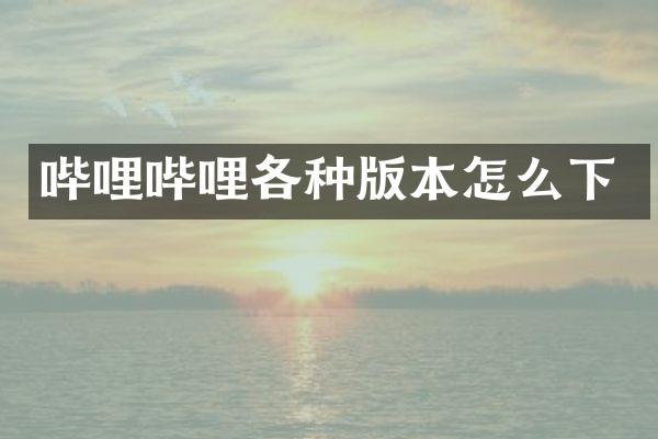 哔哩哔哩各种版本怎么下