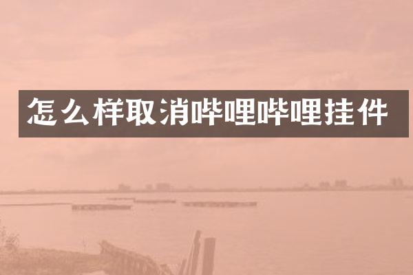 怎么样取消哔哩哔哩挂件