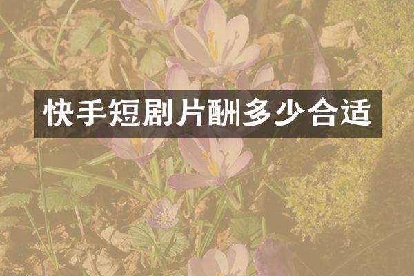 快手短剧片酬多少合适