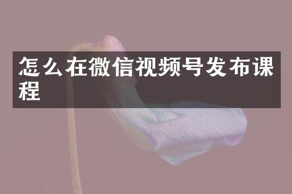怎么在微信视频号发布课程