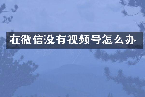 在微信没有视频号怎么办