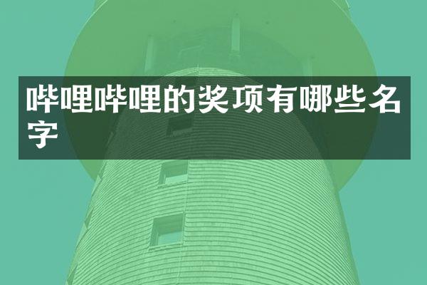 哔哩哔哩的奖项有哪些名字