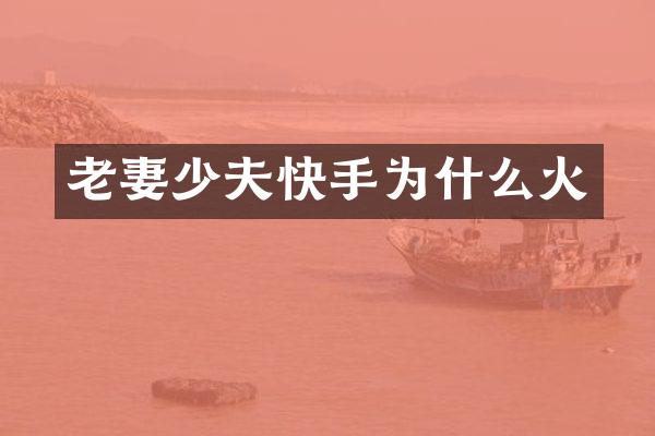 老妻少夫快手为什么火