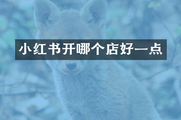 小红书开哪个店好一点