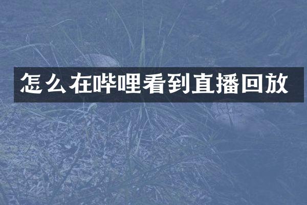 怎么在哔哩看到直播回放