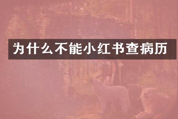 为什么不能小红书查病历