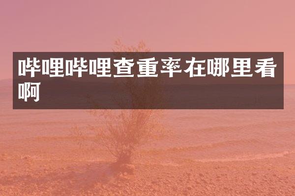 哔哩哔哩查重率在哪里看啊
